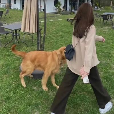 钟无艳