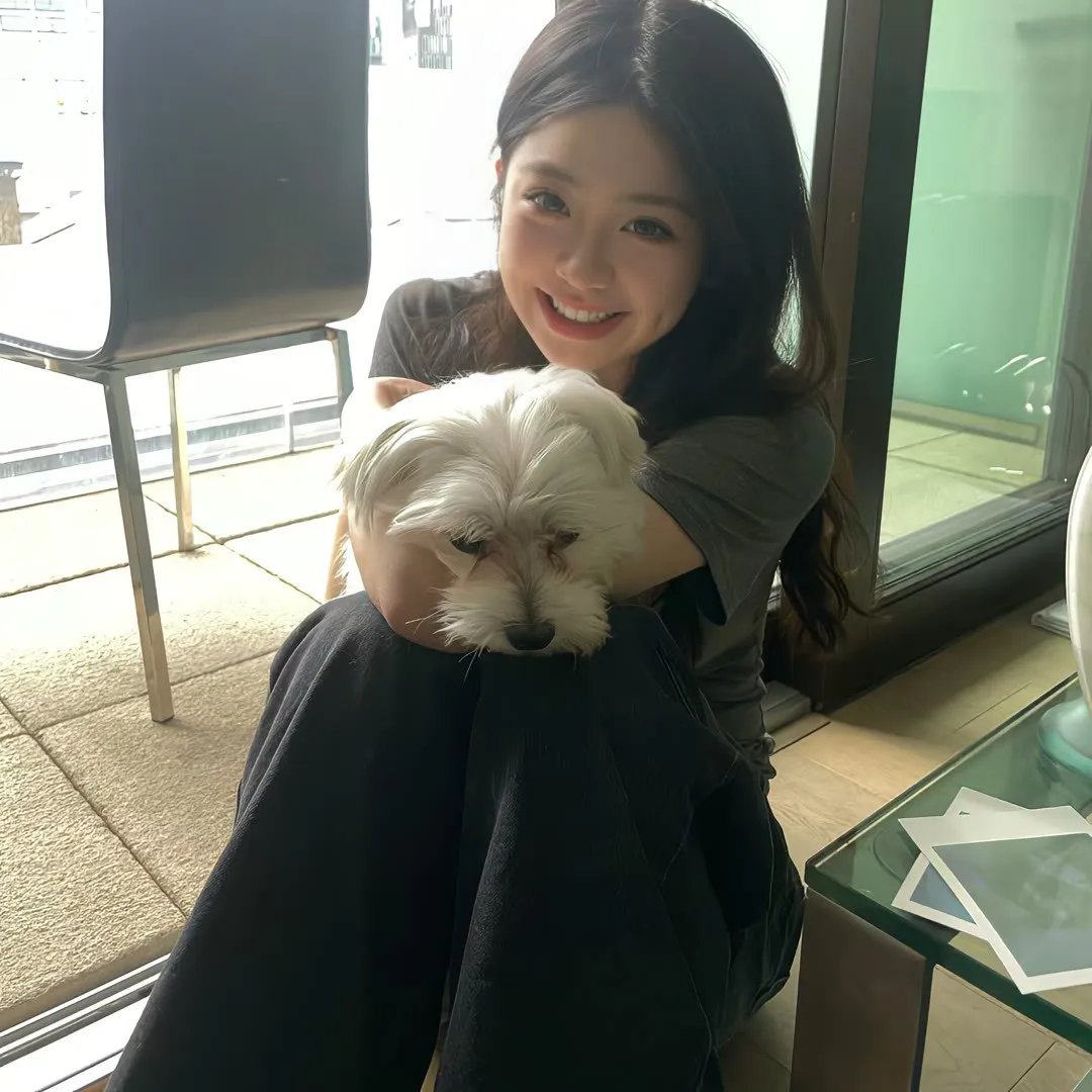 合约谋杀案